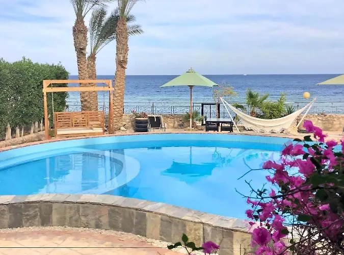 Lotus Hurghada
